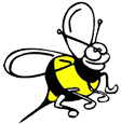 blinetaxis bee